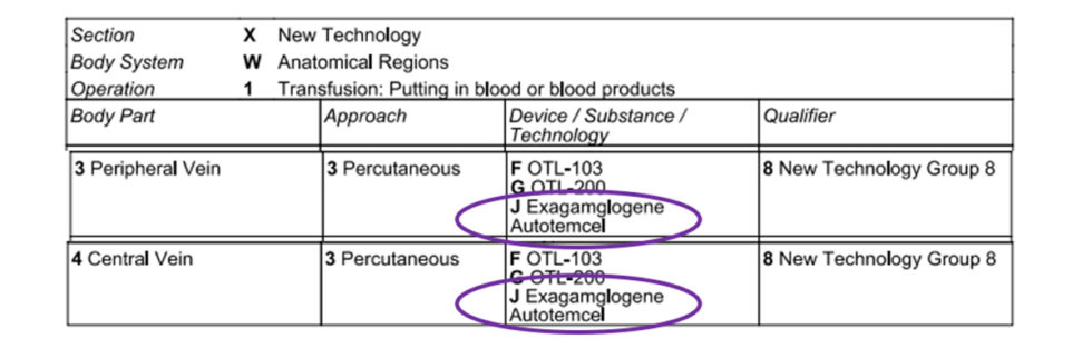 coding-tip-exagamglogene-autotemcel